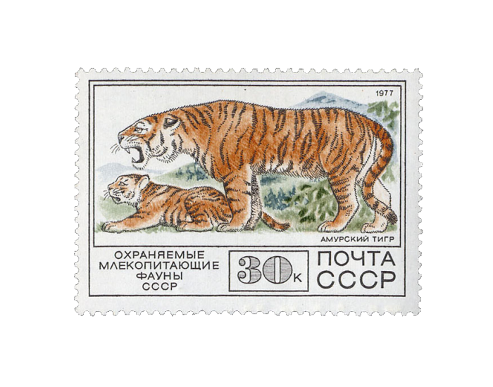 Скупка марок СССР фото
